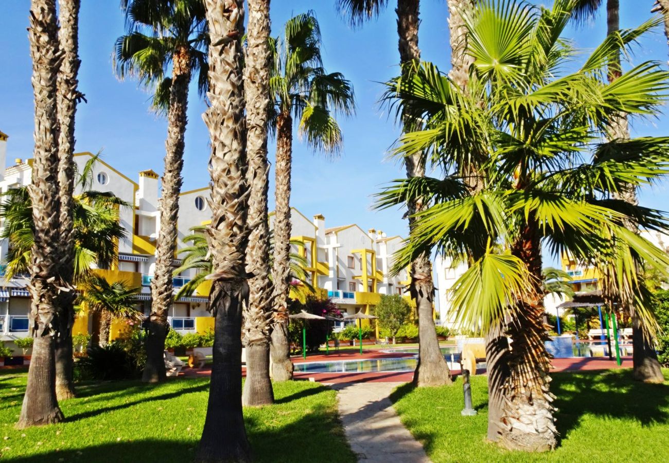 Apartamento en Oliva - POLIGONO 2 - 3ª - 1 - 106   /   SAN FERNANDO OLIVA