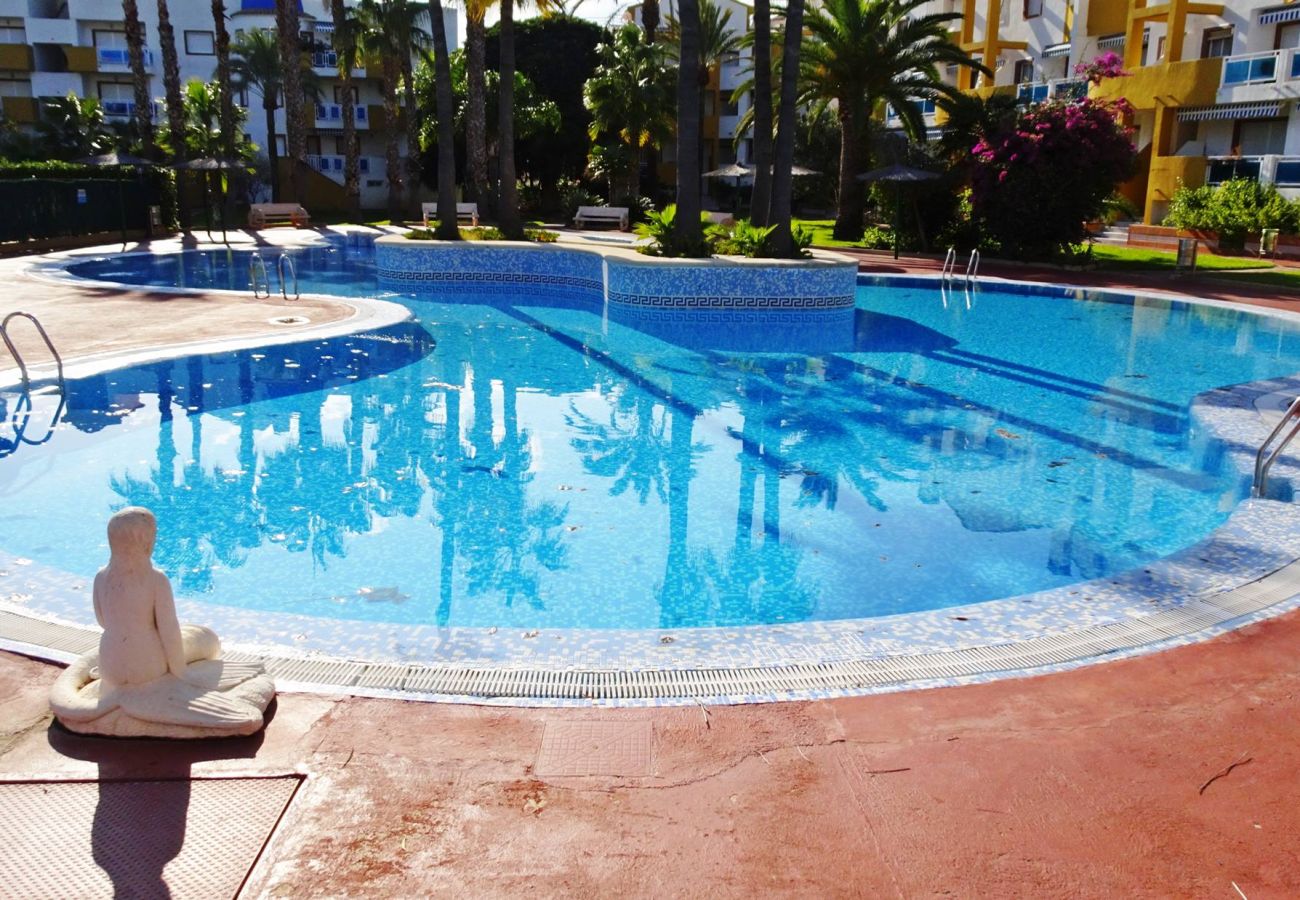 Apartamento en Oliva - POLIGONO 2 - 3ª - 1 - 106   /   SAN FERNANDO OLIVA