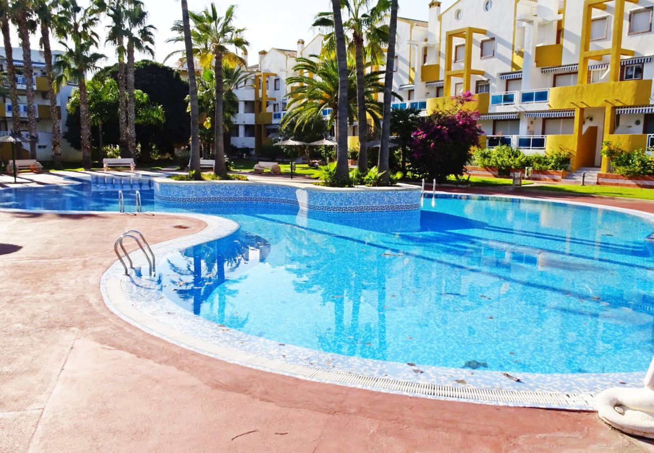 Apartamento en Oliva - POLIGONO 2 - 3ª - 1 - 106   /   SAN FERNANDO OLIVA