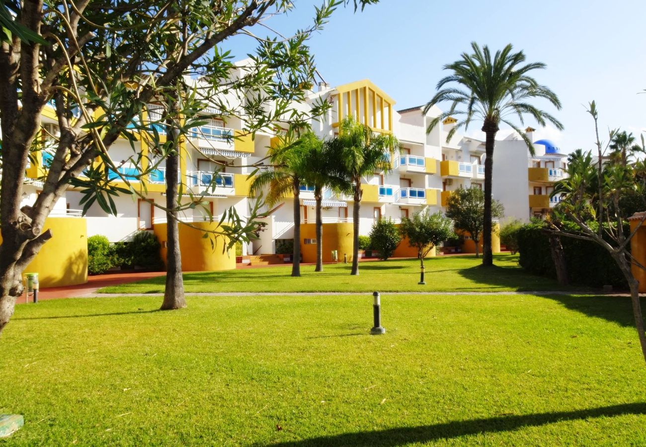 Apartamento en Oliva - POLIGONO 2 - 3ª - 1 - 106   /   SAN FERNANDO OLIVA