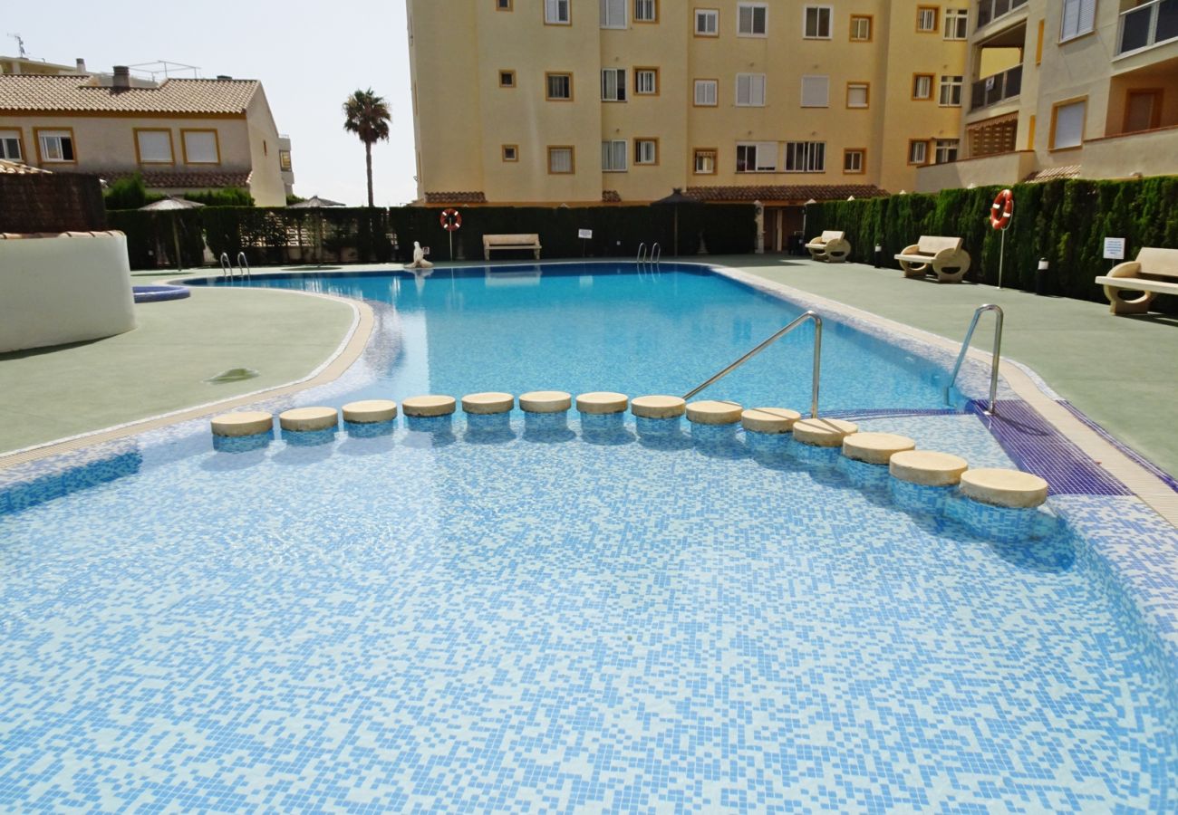 Casa adosada en Oliva - POLIGONO 5 - CASA 20   /   PLAYA DE SAN FERNANDO  OLIVA