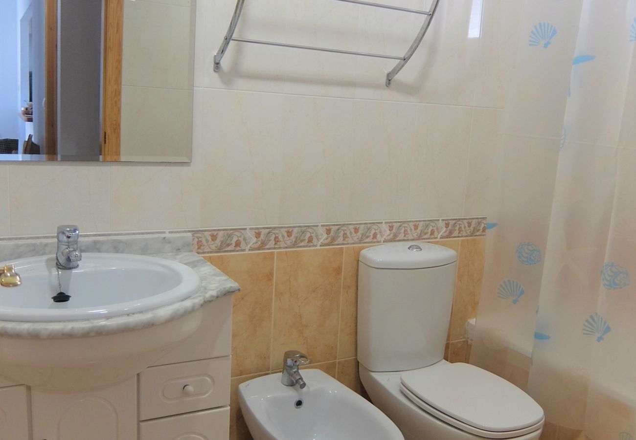 Apartamento en Oliva - POLIGONO 9 - A - 1º - 2ª   /  PLAYA DE SAN FERNANDO - OLIVA