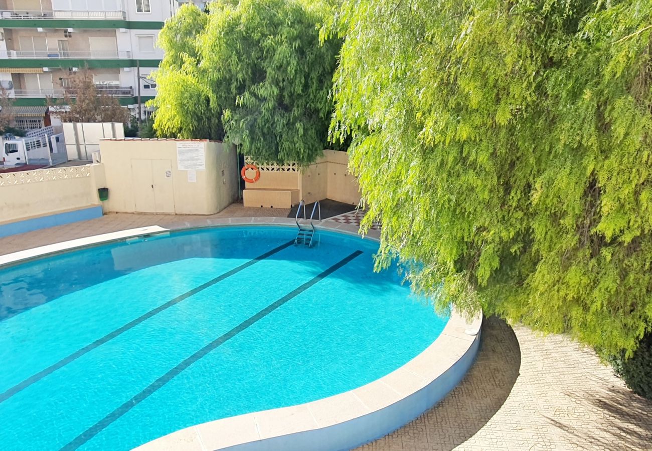 Apartamento en Gandia - MIKONOS I - 2ª - 2º - 4   /   PLAYA DE GANDIA