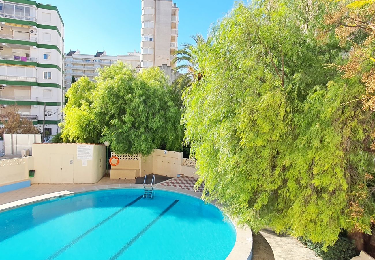 Apartamento en Gandia - MIKONOS I - 2ª - 2º - 4   /   PLAYA DE GANDIA