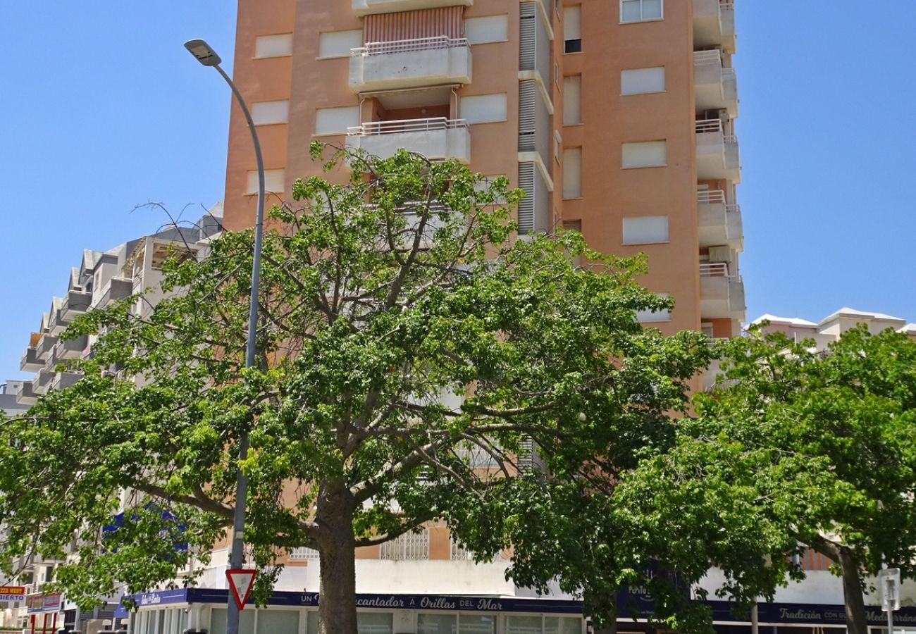 Apartamento en Gandia - MIKONOS VI - 1ª - 1º - 1ª    /   PLAYA DE GANDIA