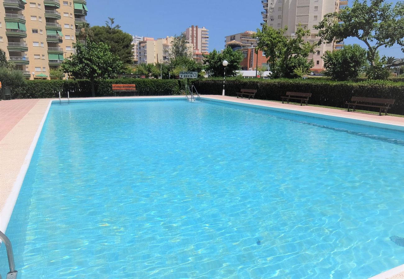Apartamento en Gandia - OLIMPIA A - 9º   /   PLAYA DE GANDIA