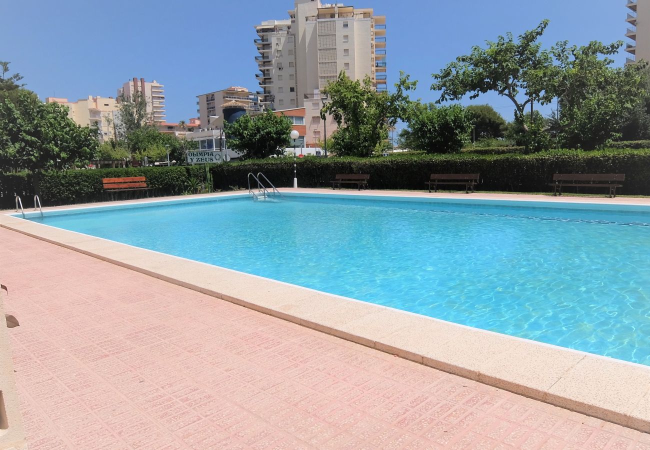 Apartamento en Gandia - OLIMPIA A - 9º   /   PLAYA DE GANDIA