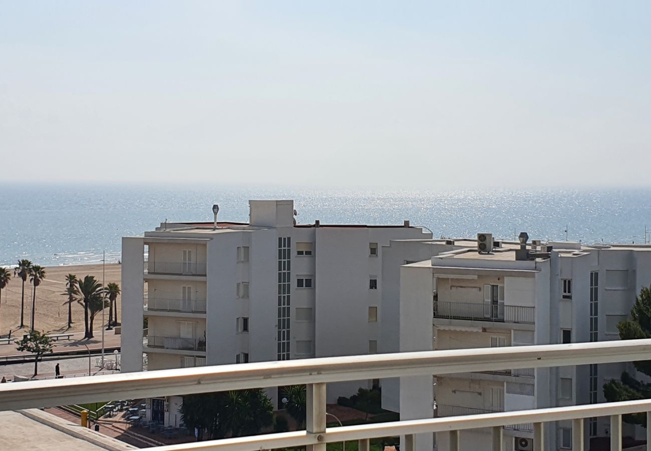 Apartamento en Gandia - CONDAL 7º - 21ª   /    PLAYA DE GANDIA