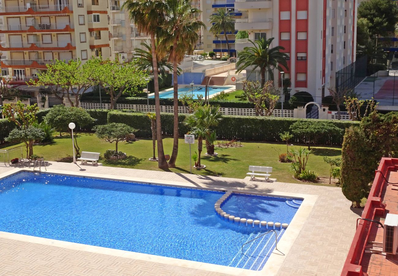 Apartamento en Gandia - DON CHIMO 4º - 23ª   /   PLAYA DE GANDIA