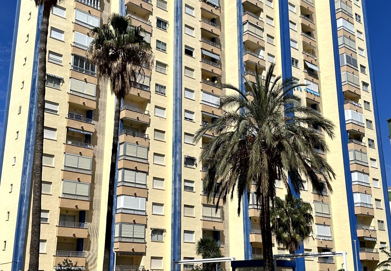 Apartamento en Gandia - GANDIAZAR III - C - 17º - 33   /   PLAYA DE GANDIA