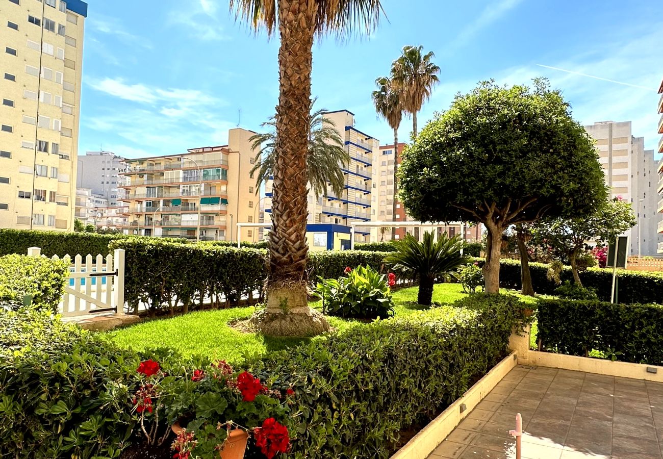 Apartamento en Gandia - GANDIAZAR III - C - 17º - 33   /   PLAYA DE GANDIA