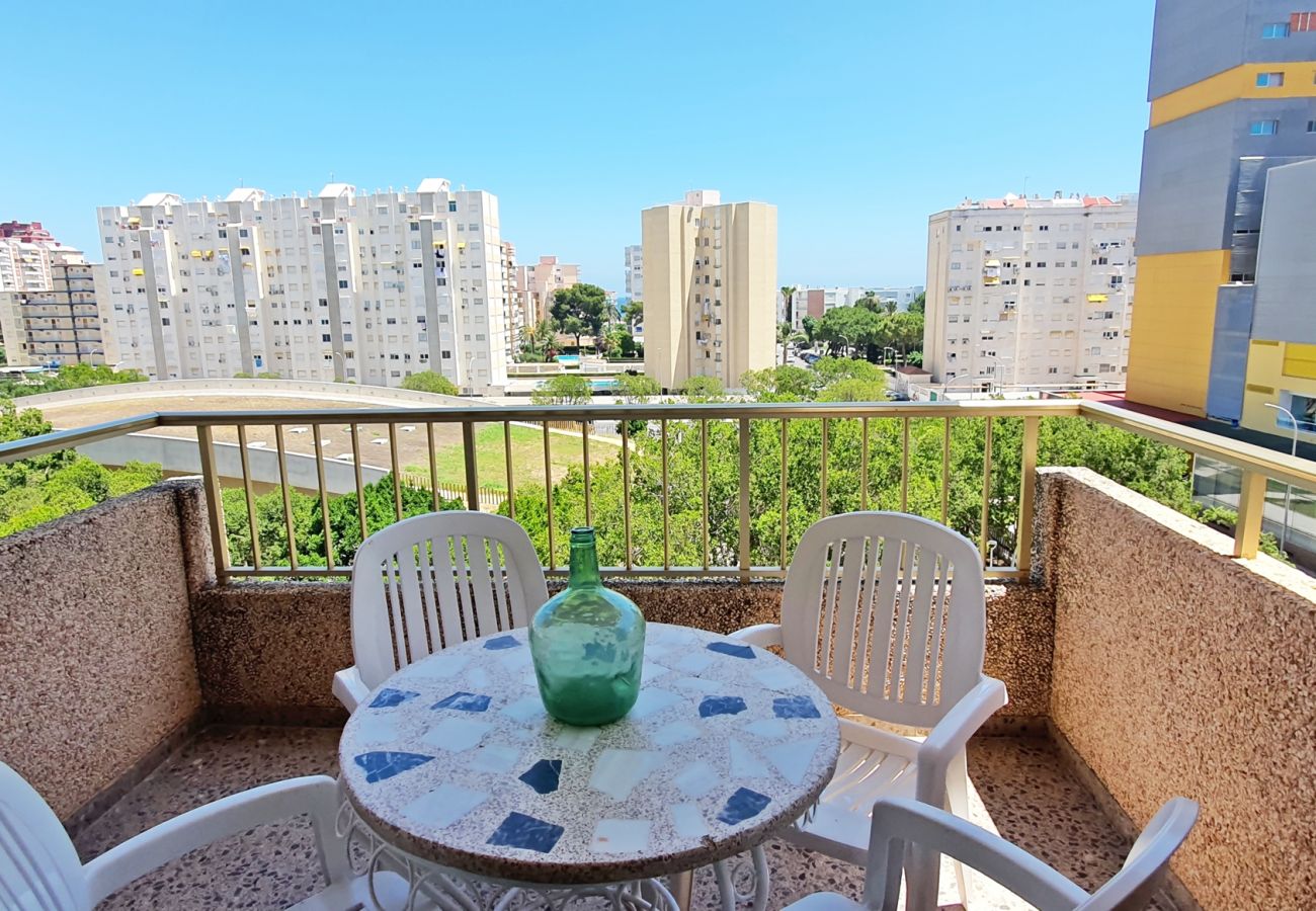 Apartamento en Gandia - JARDIN I - 6º - CENTRO   /   PLAYA DE GANDIA