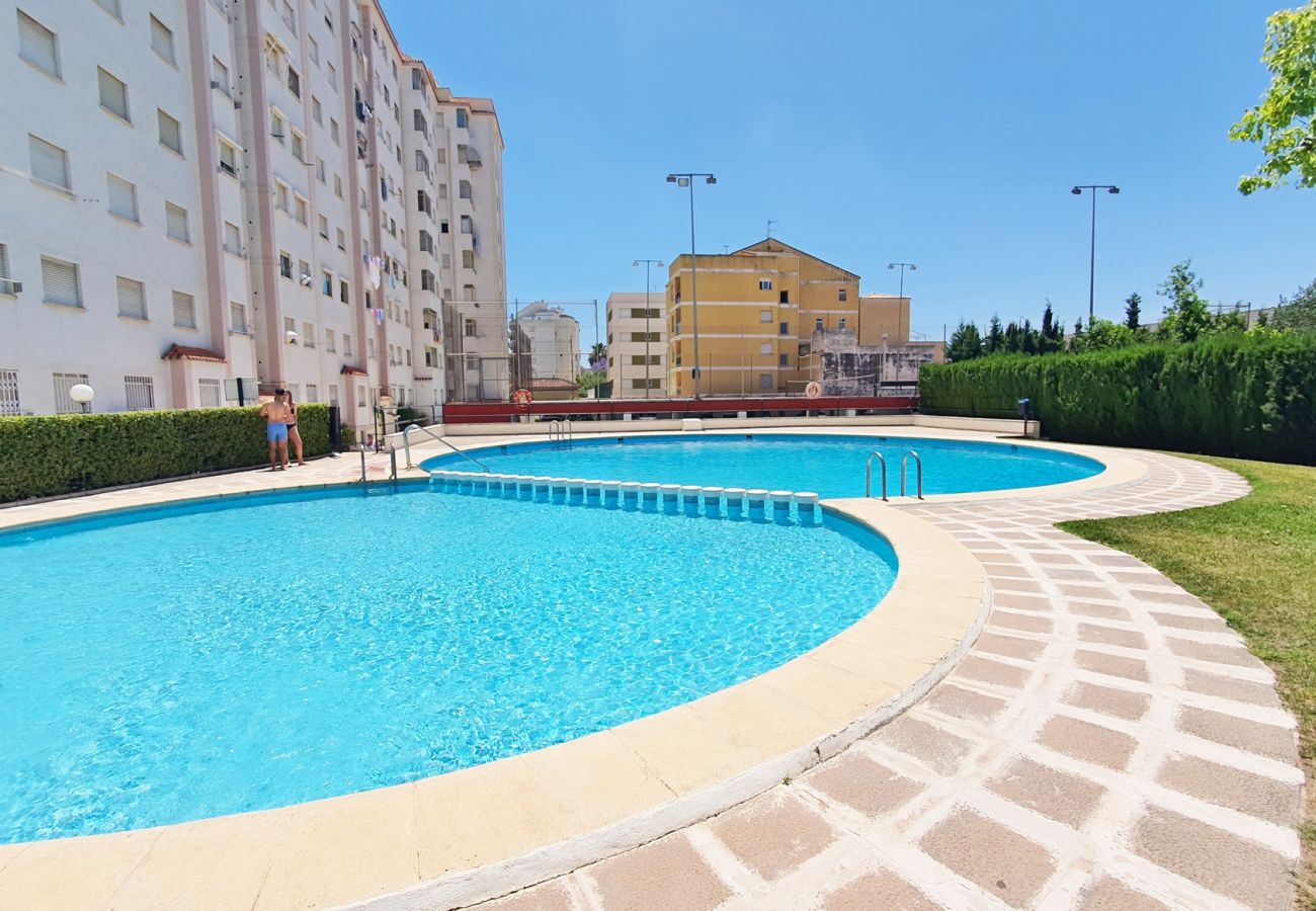 Apartamento en Gandia - JARDIN I - 6º - CENTRO   /   PLAYA DE GANDIA