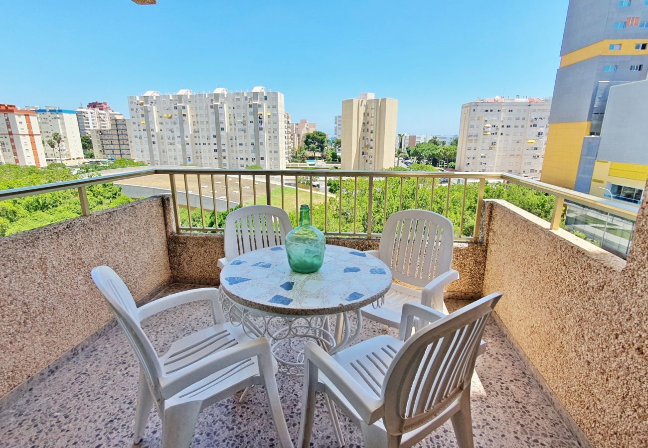 Apartamento en Gandia - JARDIN I - 6º - CENTRO   /   PLAYA DE GANDIA
