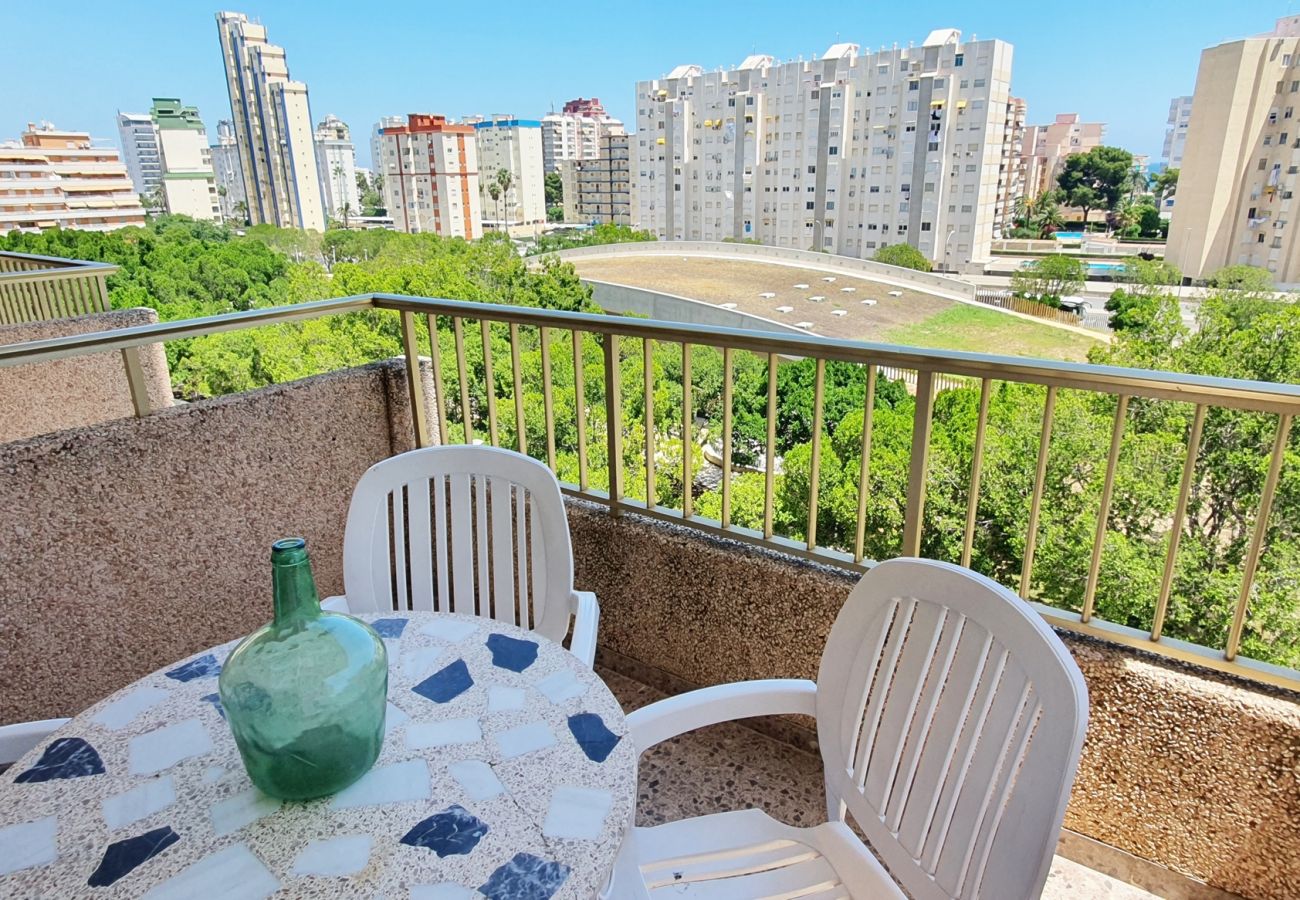 Apartamento en Gandia - JARDIN I - 6º - CENTRO   /   PLAYA DE GANDIA
