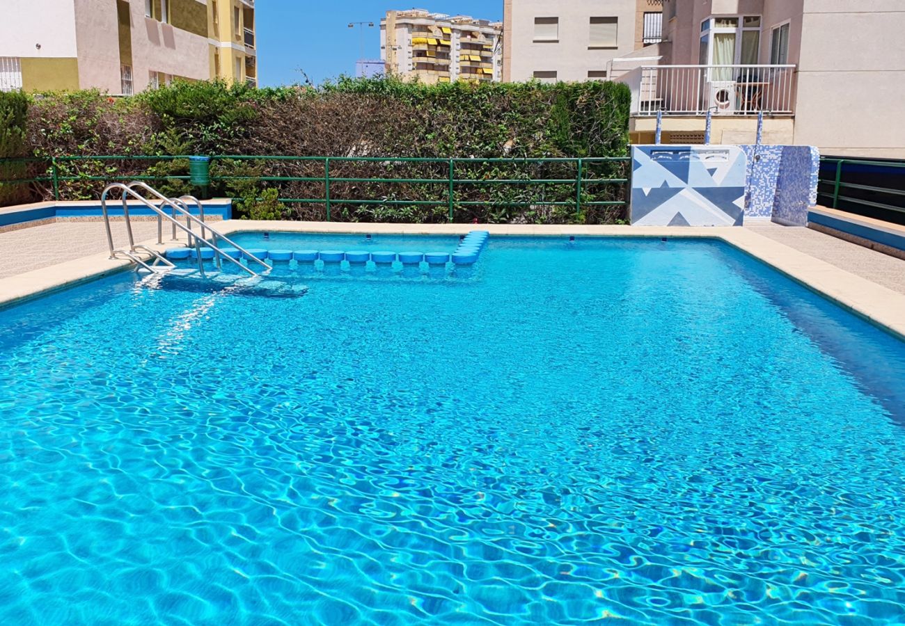 Apartamento en Gandia - JARDIN II - 1ª - 4º - IZQ   /   PLAYA DE GANDIA