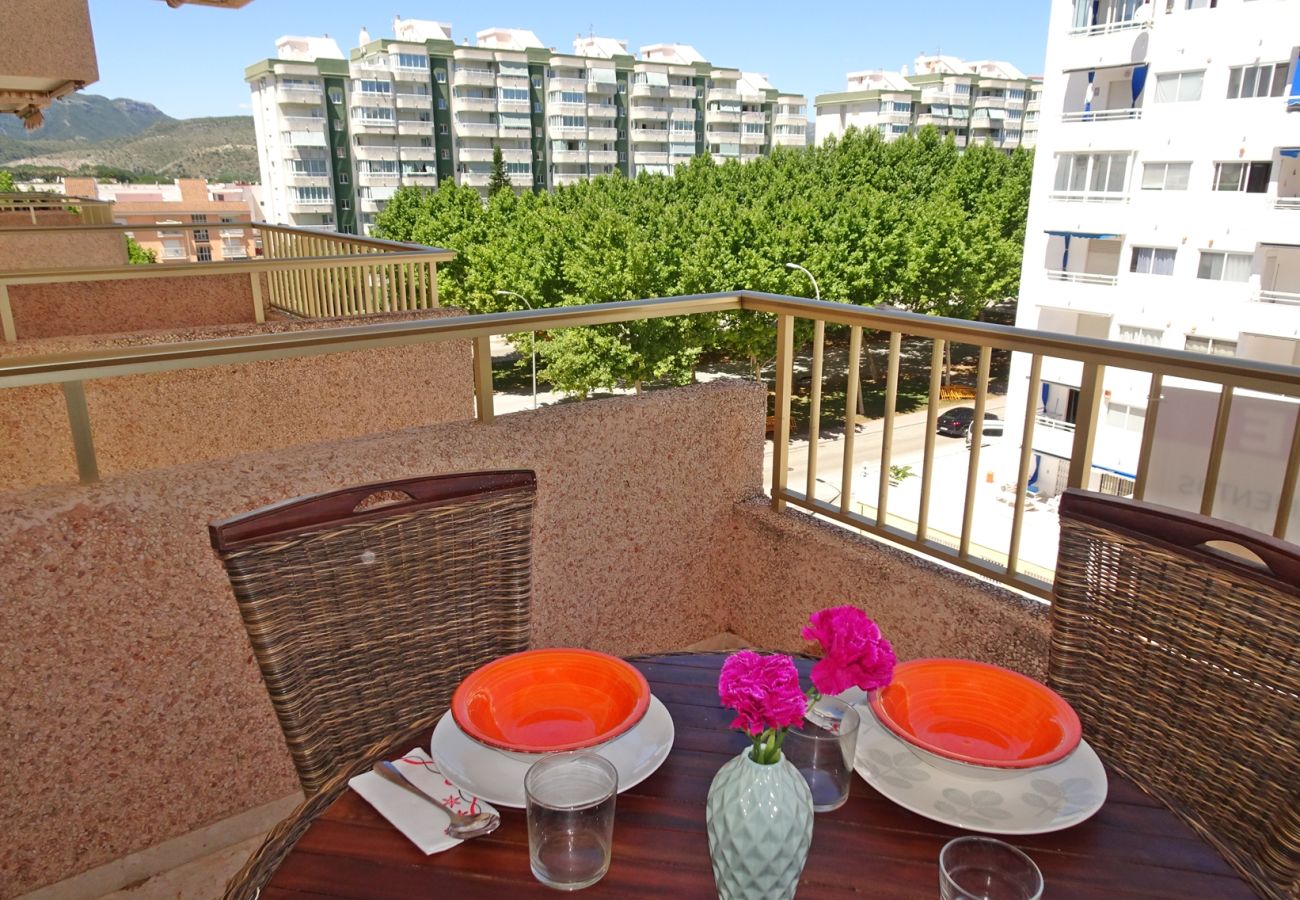 Apartamento en Gandia - JARDIN V - 2ª - 5º - B   /   PLAYA DE GANDIA
