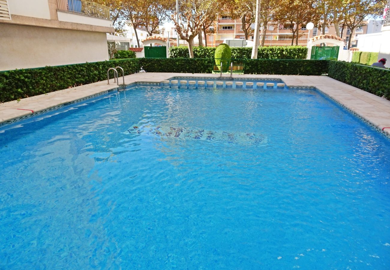 Apartamento en Gandia - JARDIN V - 2 - 4º - A   /    PLAYA DE GANDIA