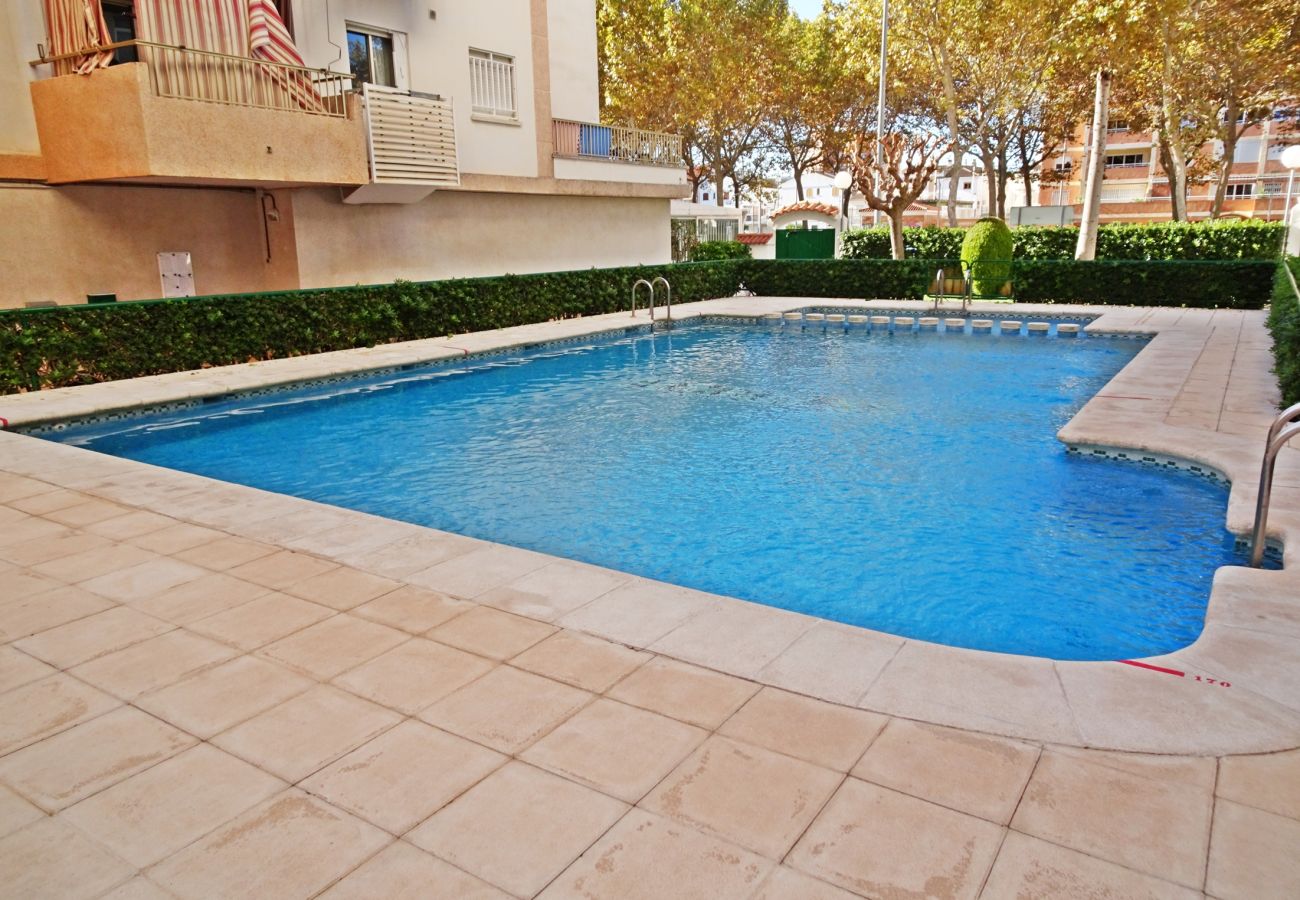 Apartamento en Gandia - JARDIN V - 2 - 4º - A   /    PLAYA DE GANDIA