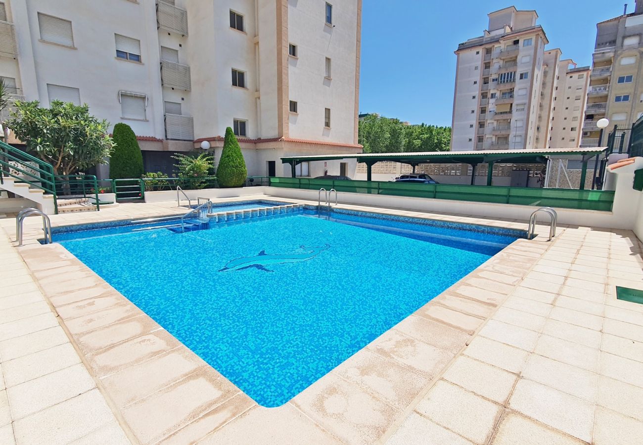 Apartamento en Gandia - JARIDN VII 1ª - 3º - B    /    PLAYA DE GANDIA