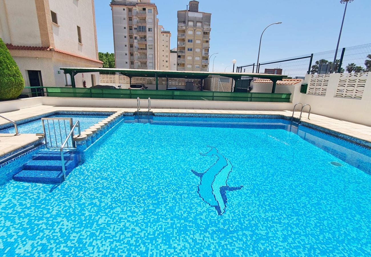 Apartamento en Gandia - JARIDN VII 1ª - 3º - B    /    PLAYA DE GANDIA