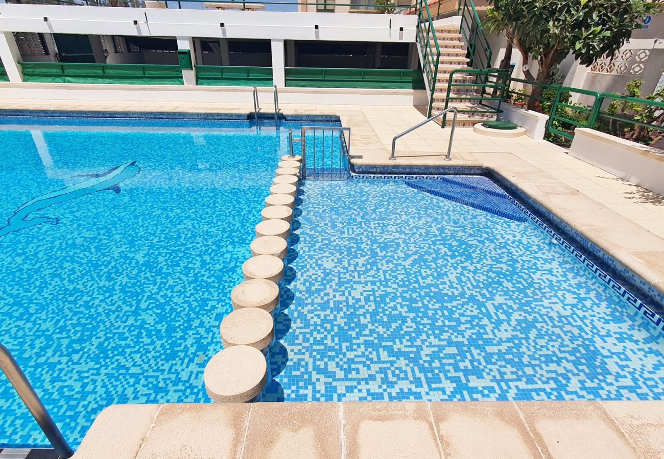 Apartamento en Gandia - JARIDN VII 1ª - 3º - B    /    PLAYA DE GANDIA