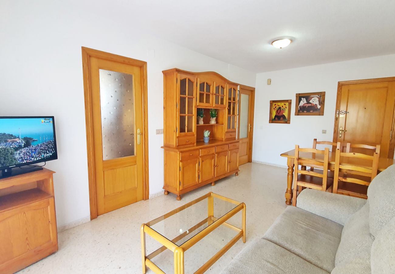 Apartamento en Gandia - JARDIN VII - 1ª - 5º - B   /   PLAYA DE GANDIA