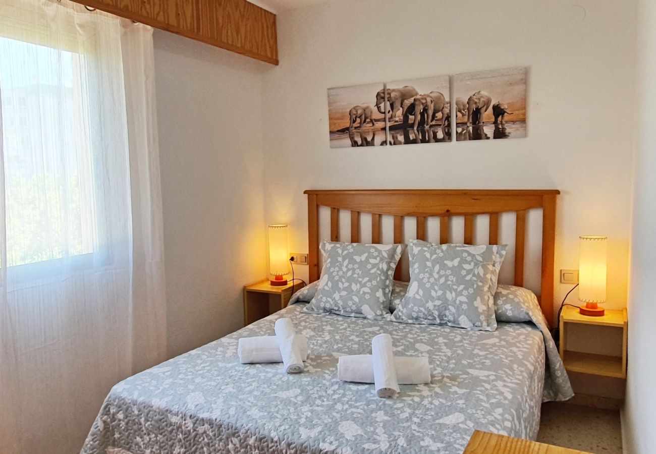Apartamento en Gandia - JARDIN VII - 1ª - 5º - B   /   PLAYA DE GANDIA