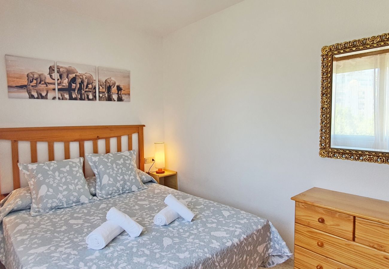 Apartamento en Gandia - JARDIN VII - 1ª - 5º - B   /   PLAYA DE GANDIA