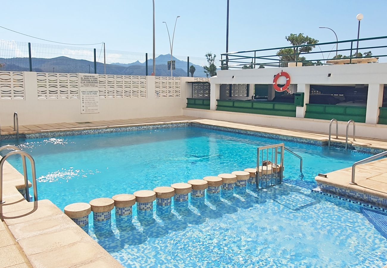 Apartamento en Gandia - JARDIN VII - 1ª - 5º - B   /   PLAYA DE GANDIA