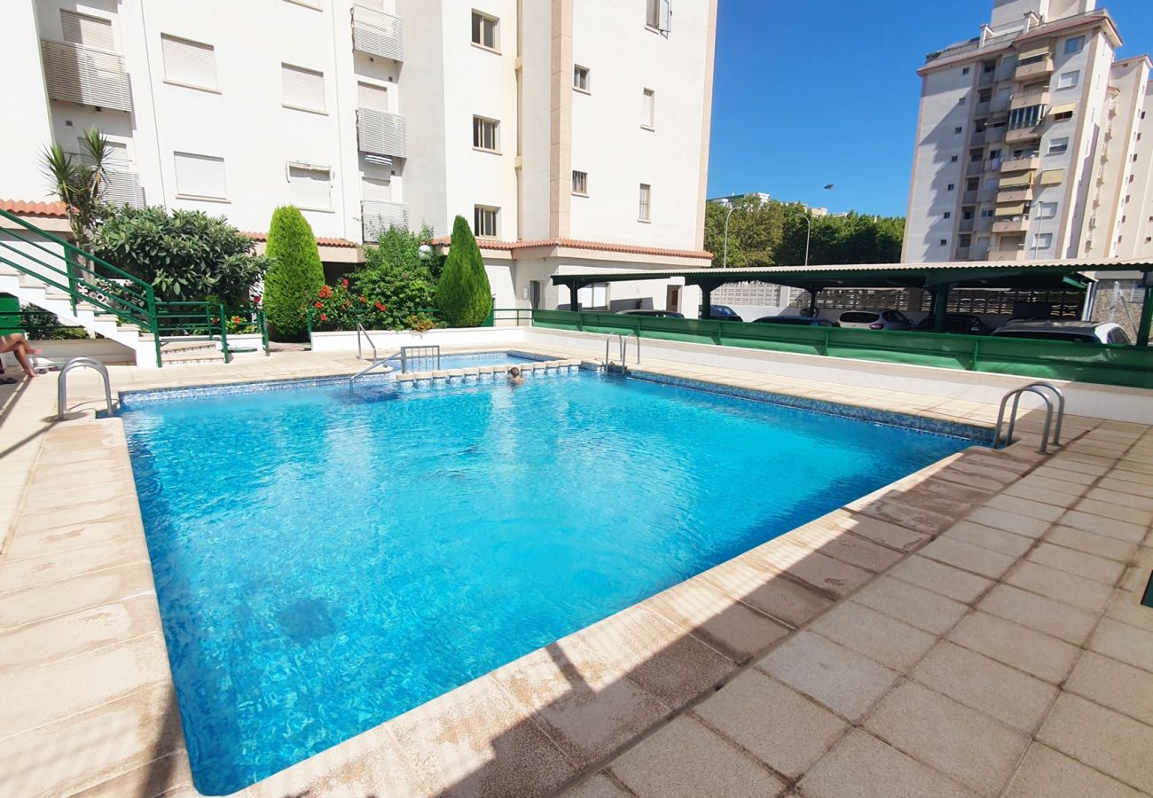 Apartamento en Gandia - JARDIN VII - 1ª - 5º - B   /   PLAYA DE GANDIA