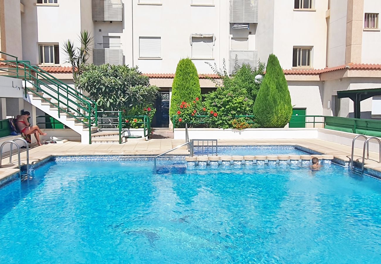 Apartamento en Gandia - JARDIN VII - 1ª - 5º - B   /   PLAYA DE GANDIA