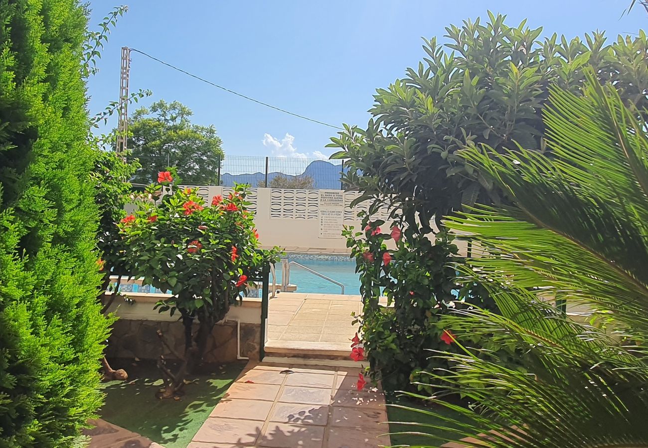 Apartamento en Gandia - JARDIN VII - 1ª - 5º - B   /   PLAYA DE GANDIA