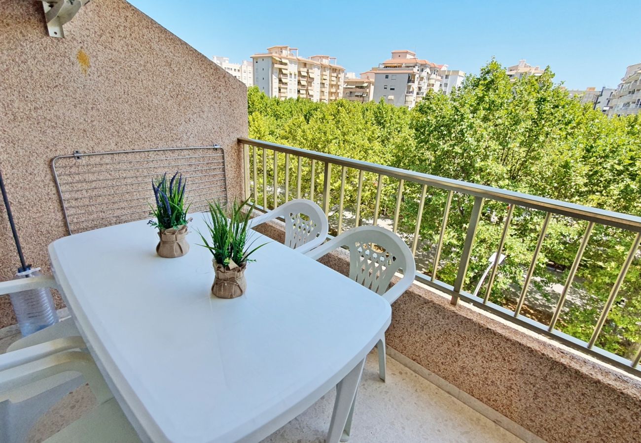 Apartamento en Gandia - JARDIN VII - 1ª - 5º - B   /   PLAYA DE GANDIA