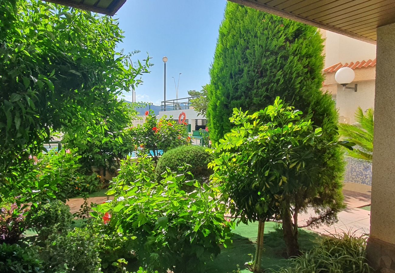 Apartamento en Gandia - JARDIN VII - 1ª - 5º - B   /   PLAYA DE GANDIA