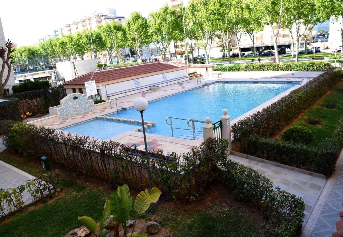 Apartamento en Gandia - JARDIN X - 3 - 6º - G   /    PLAYA DE GANDIA