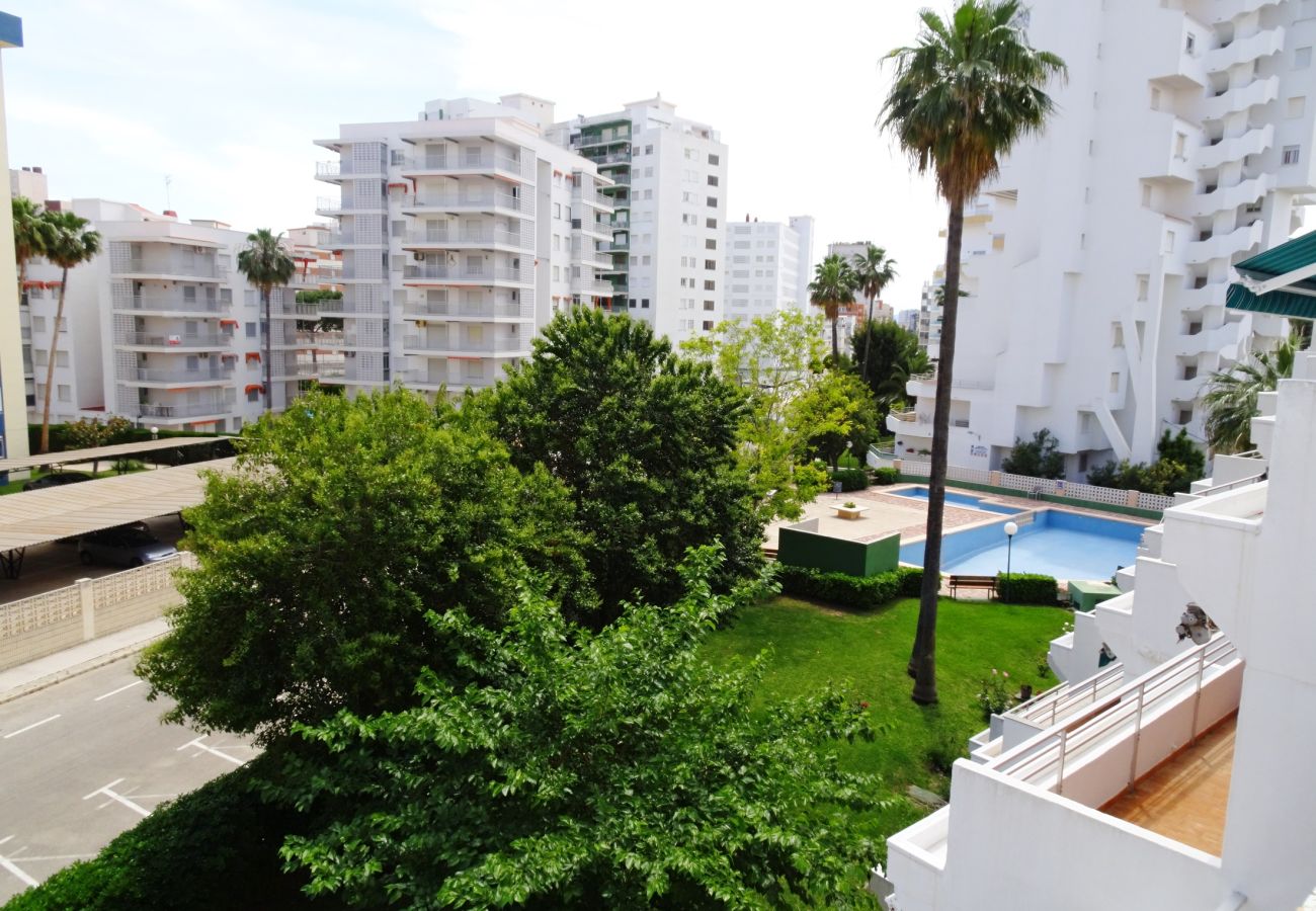 Apartamento en Gandia - LA SAFOR 3ª - 4º - 8ª    /    PLAYA DE GANDIA