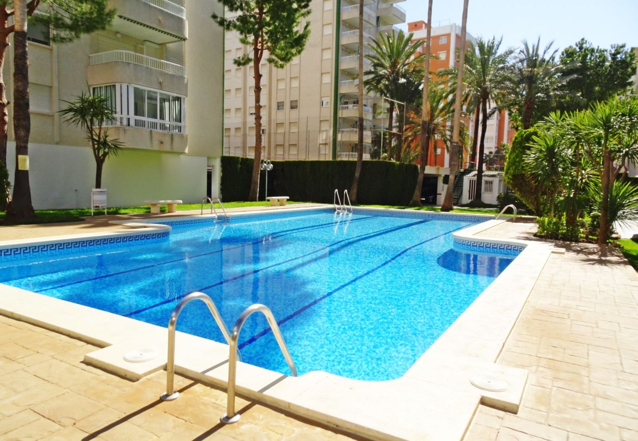 Apartamento en Gandia - LANZAROTE BL1 - 3º - 16   /   PLAYA DE GANDIA