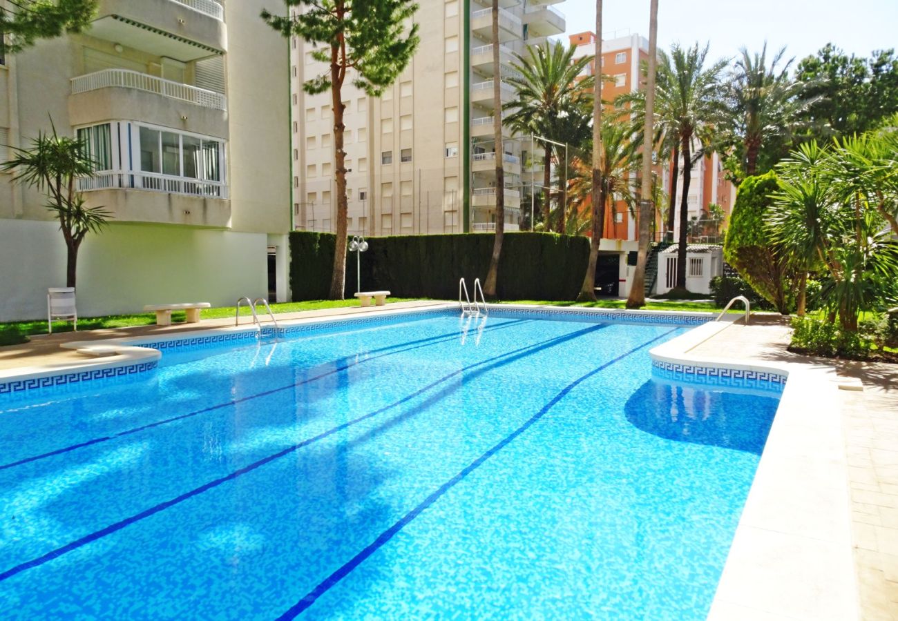 Apartamento en Gandia - LANZAROTE BL1 - 3º - 16   /   PLAYA DE GANDIA