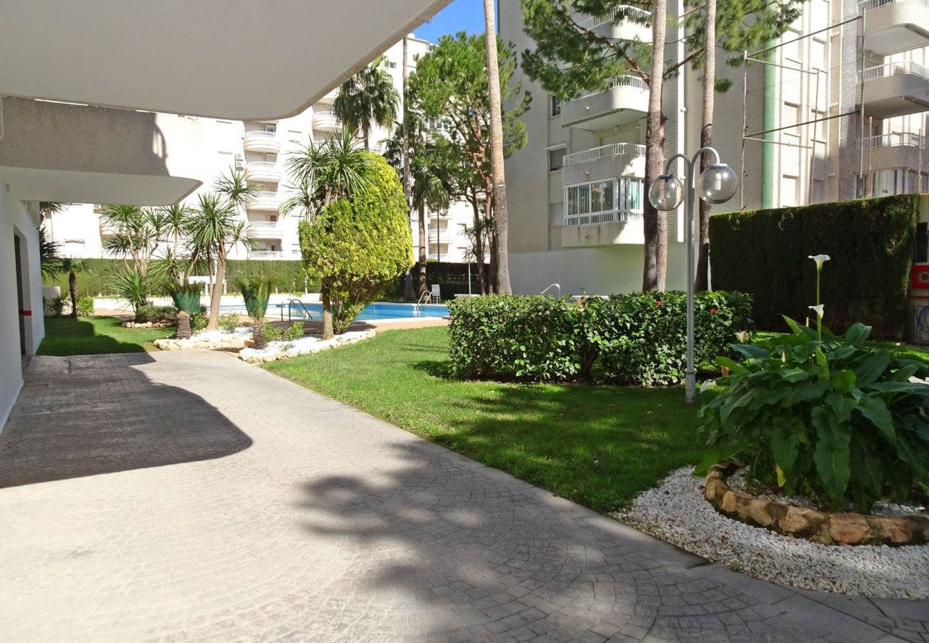Apartamento en Gandia - LANZAROTE BL1 - 3º - 16   /   PLAYA DE GANDIA