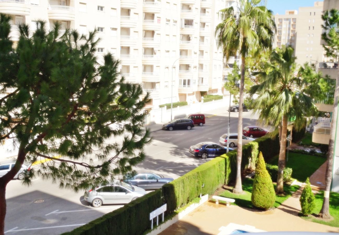 Apartamento en Gandia - LANZAROTE BL1 - 3º - 16   /   PLAYA DE GANDIA