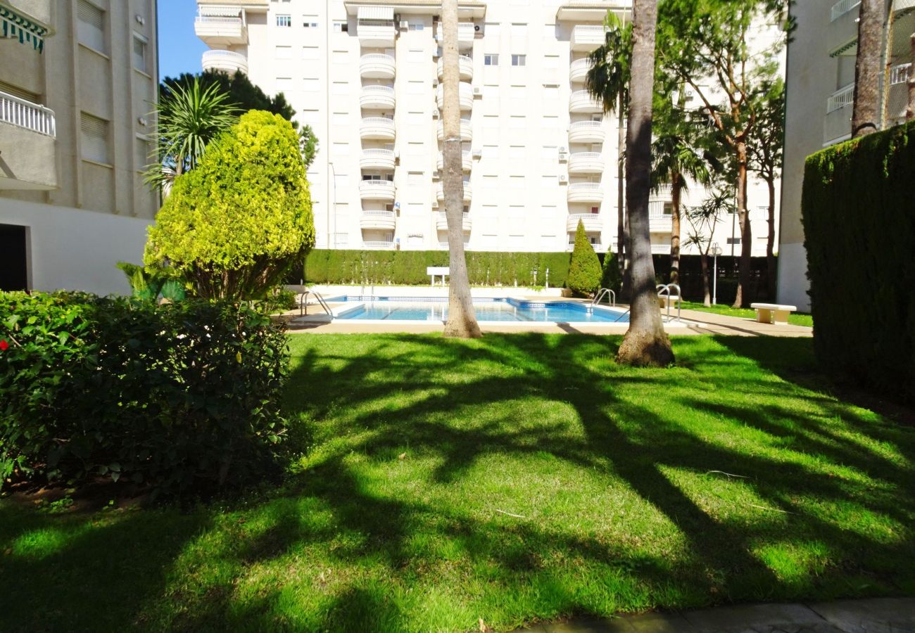 Apartamento en Gandia - LANZAROTE BL1 - 3º - 16   /   PLAYA DE GANDIA