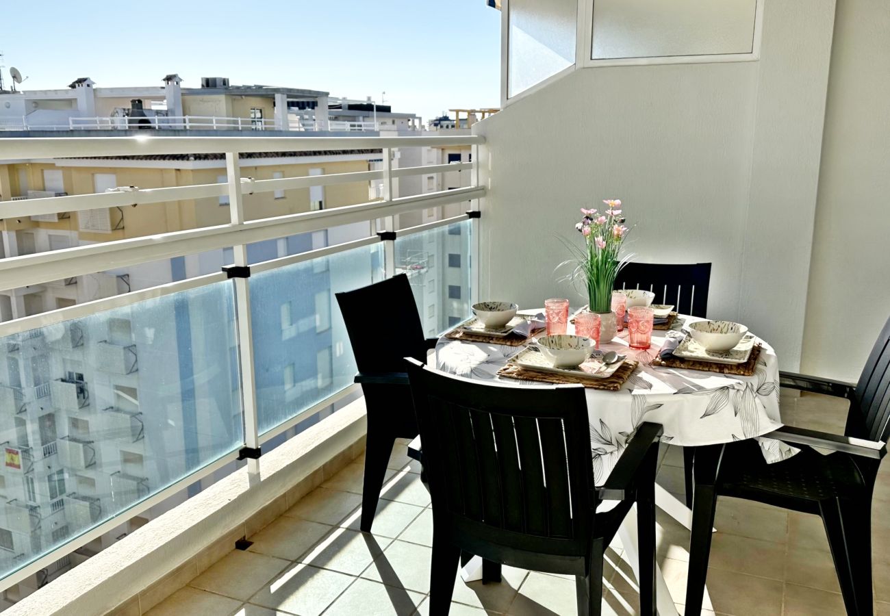 Apartamento en Gandia - PALMERAS III - 2 - 10º - C   /  PLAYA DE GANDIA