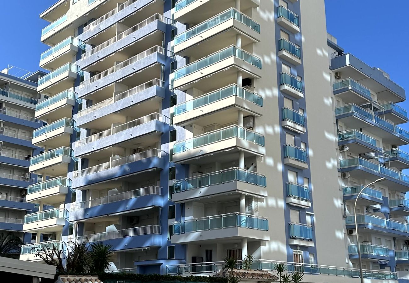 Apartamento en Gandia - PALMERAS III - 2 - 10º - C   /  PLAYA DE GANDIA