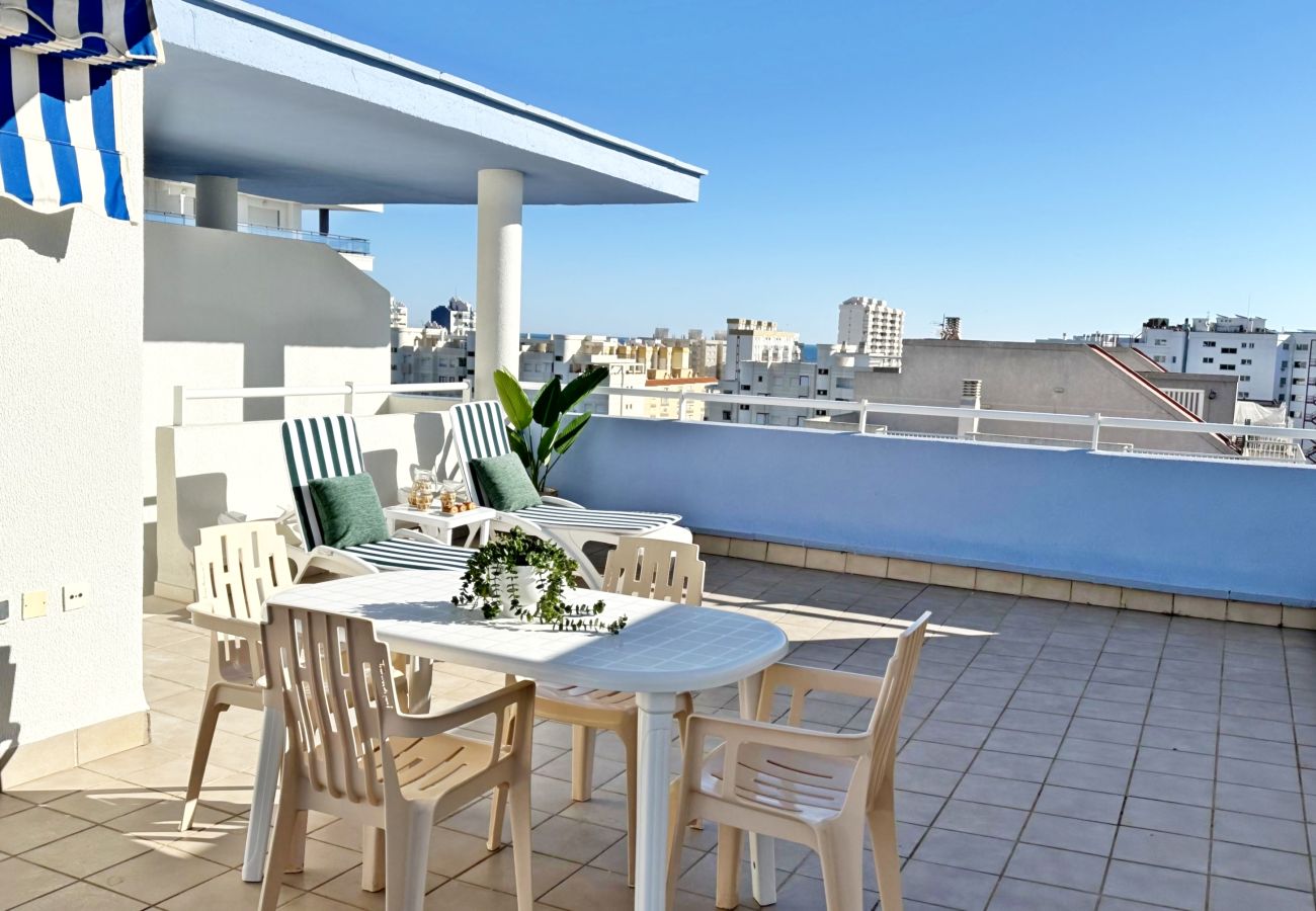 Apartamento en Gandia - PALMERAS III - 2 - 10º - C   /  PLAYA DE GANDIA