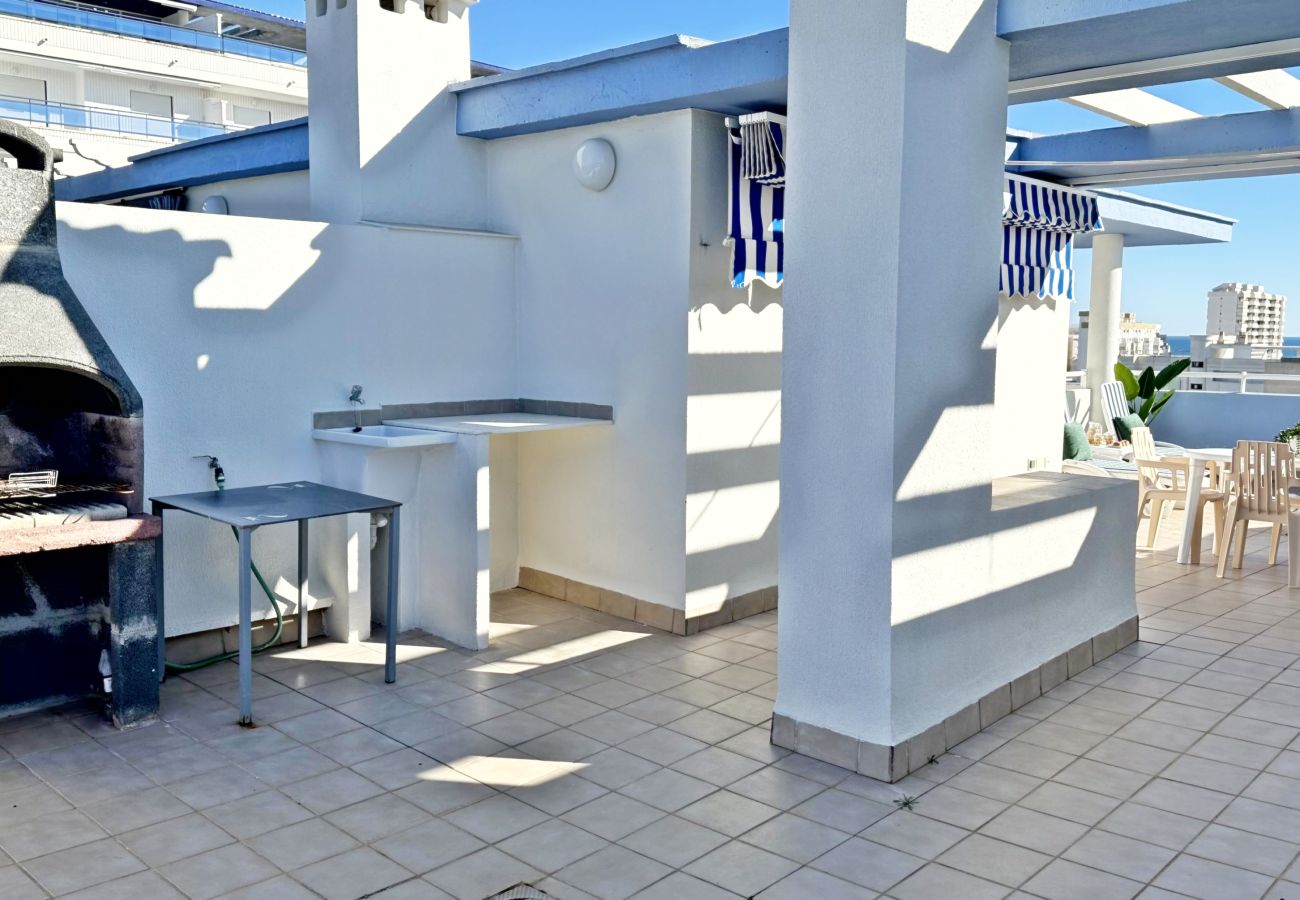 Apartamento en Gandia - PALMERAS III - 2 - 10º - C   /  PLAYA DE GANDIA