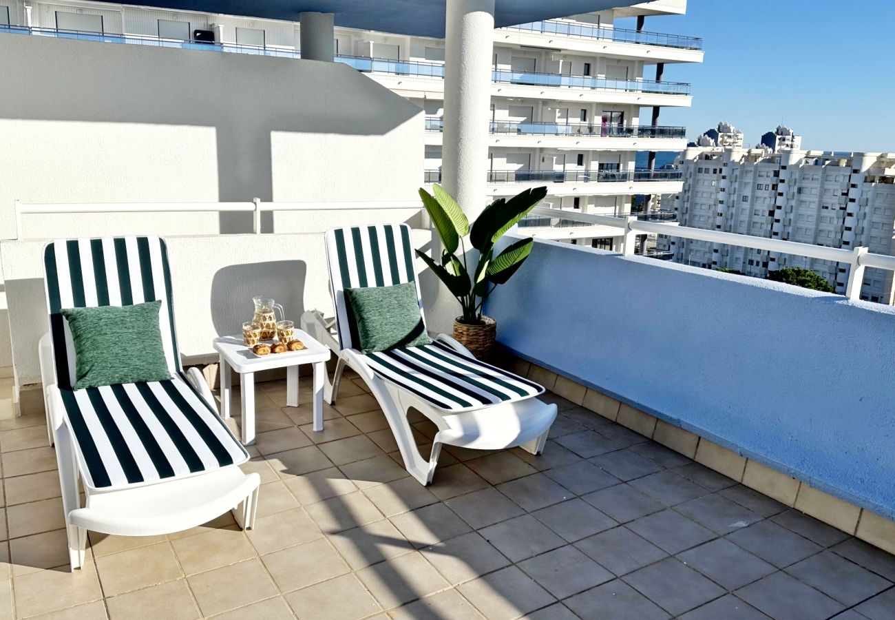 Apartamento en Gandia - PALMERAS III - 2 - 10º - C   /  PLAYA DE GANDIA