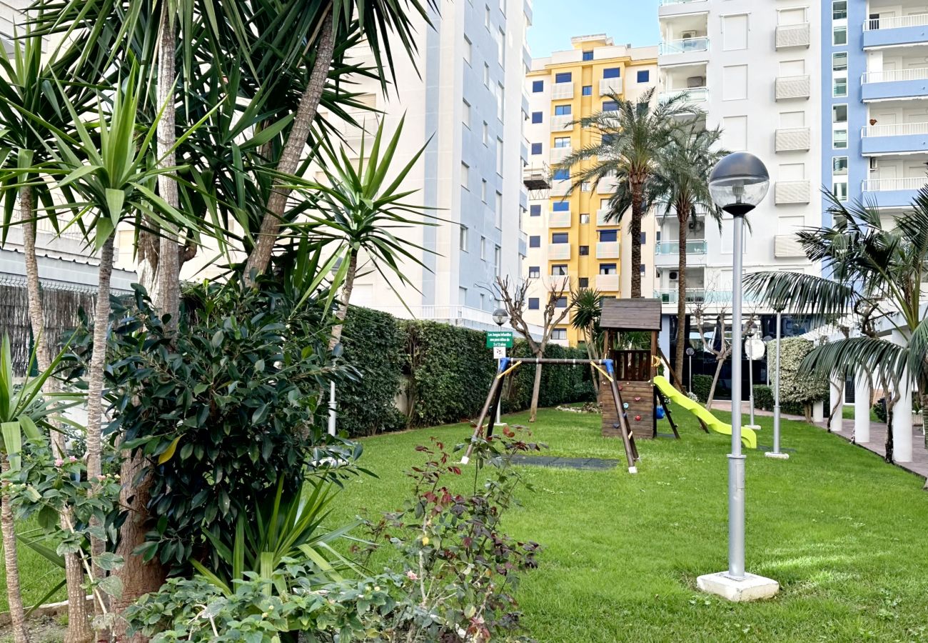 Apartamento en Gandia - PALMERAS III - 2 - 10º - C   /  PLAYA DE GANDIA