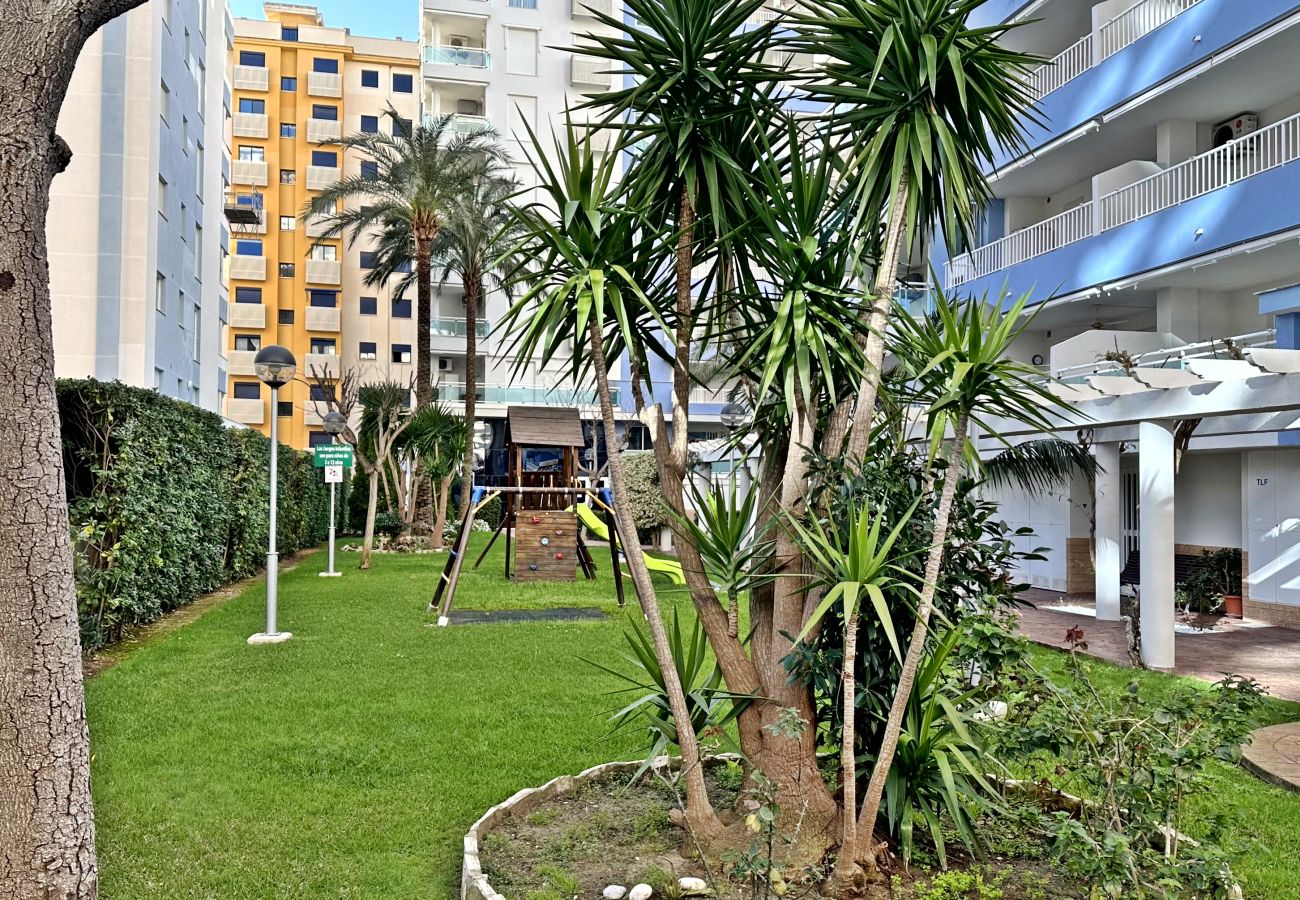 Apartamento en Gandia - PALMERAS III - 2 - 10º - C   /  PLAYA DE GANDIA