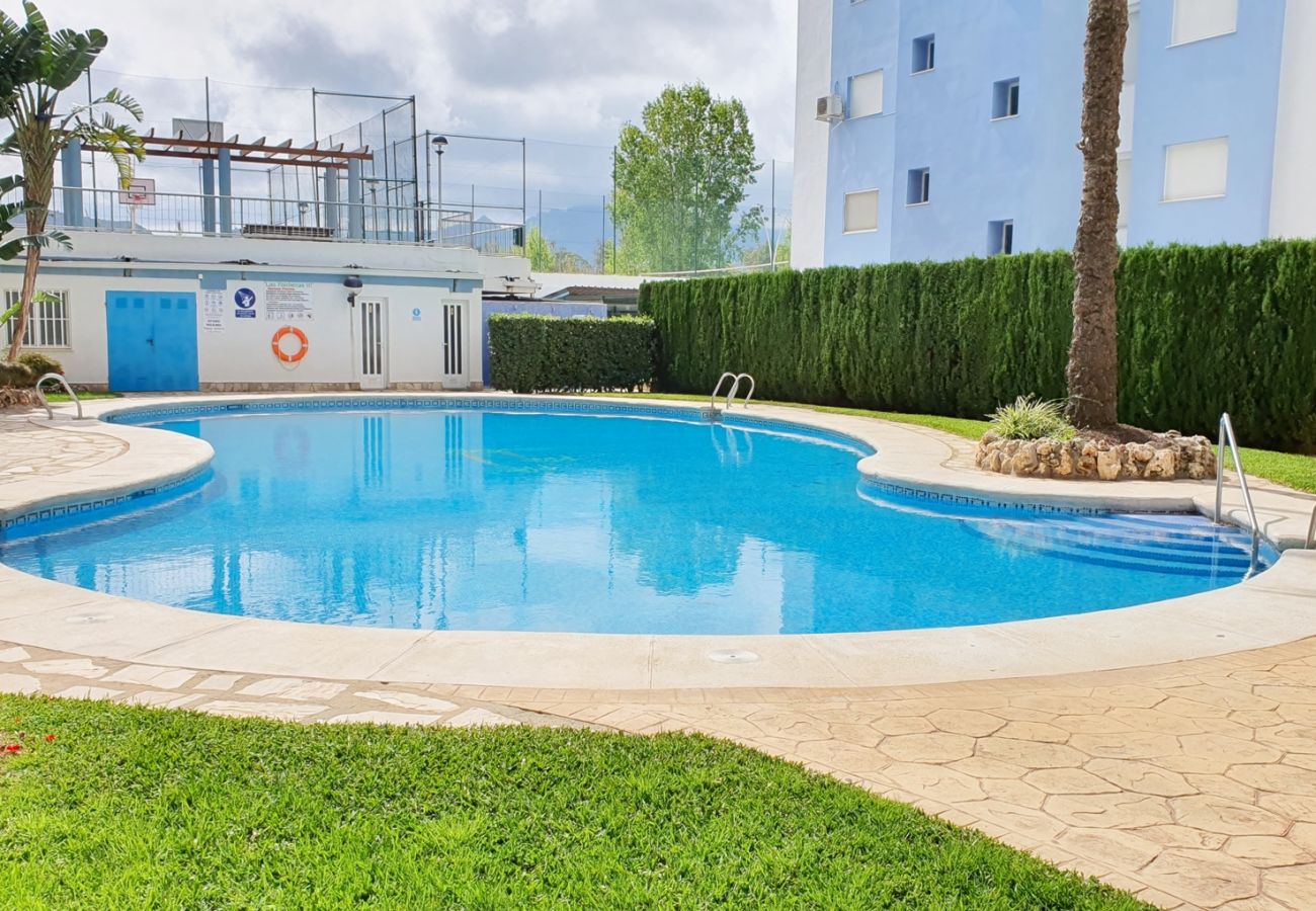 Apartamento en Gandia - PALMERAS III - 2 - 10º - C   /  PLAYA DE GANDIA